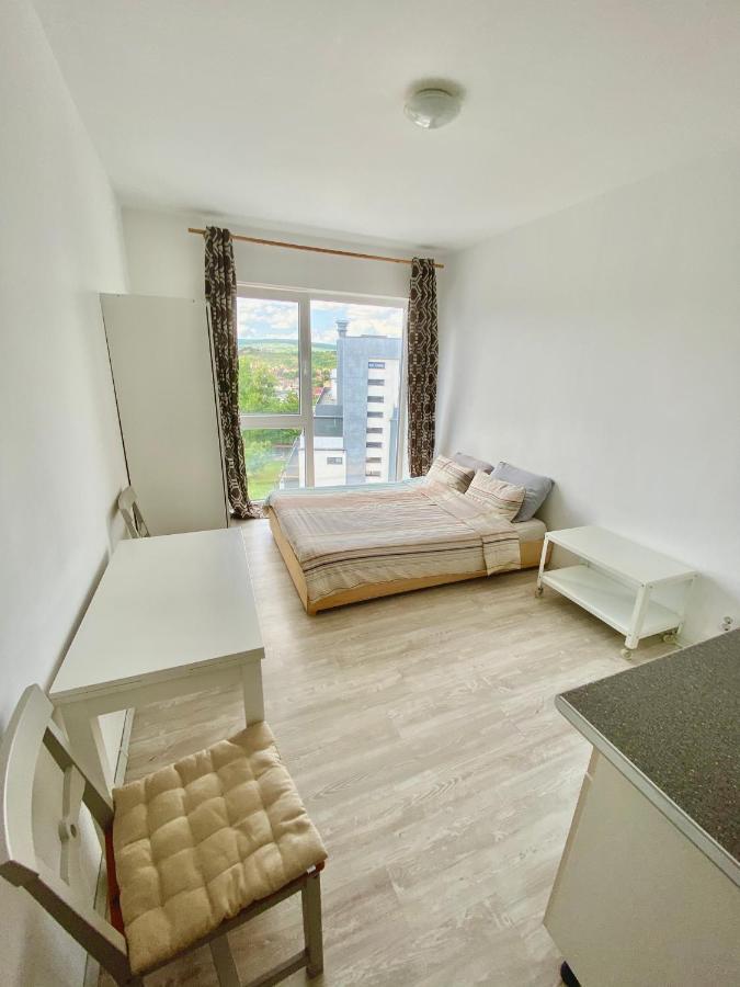 Cozy Studio Near The Center Of Cluj Екстериор снимка